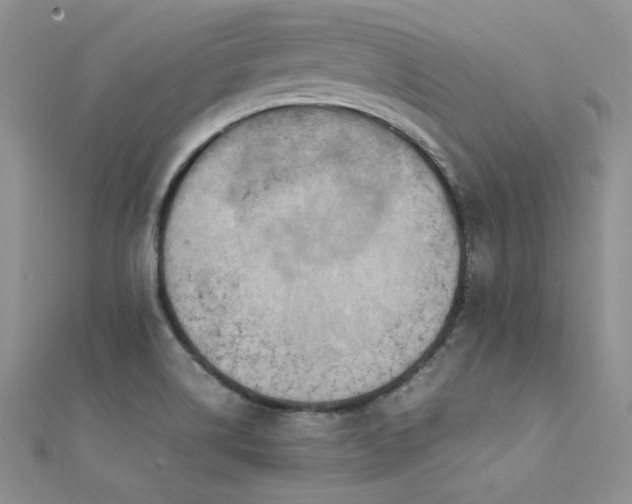 X0000112411514200908141350