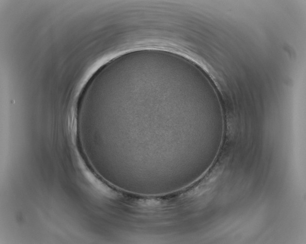 X0000112411515200908141350