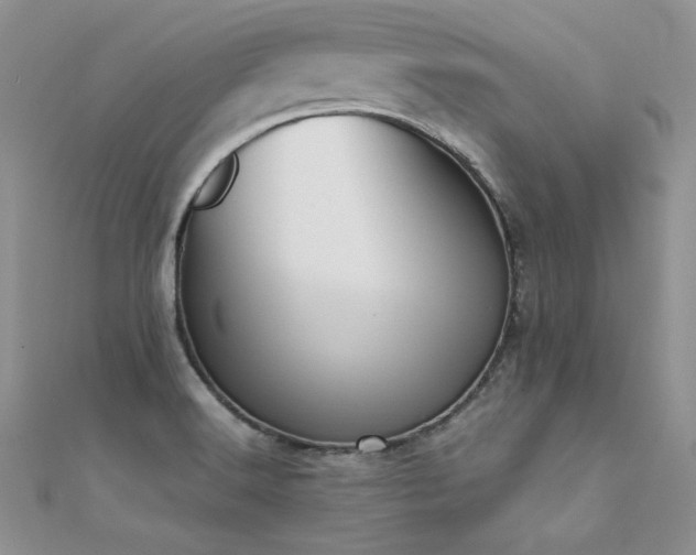 X0000112411516200908141350
