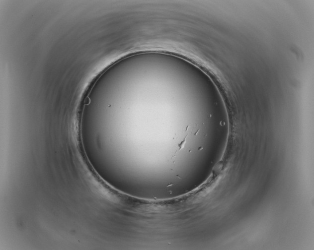 X0000112411517200908141350
