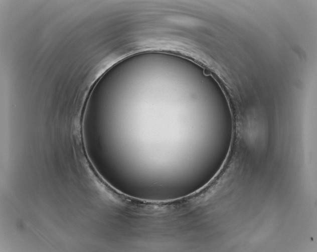 X0000112411521200908141350