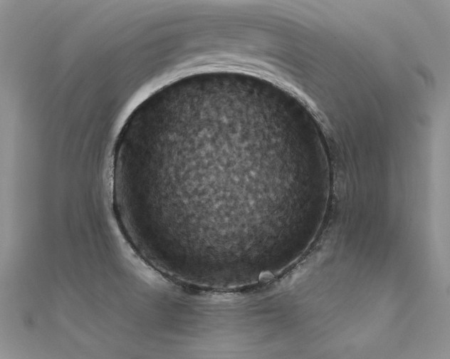 X0000112411522200908141350