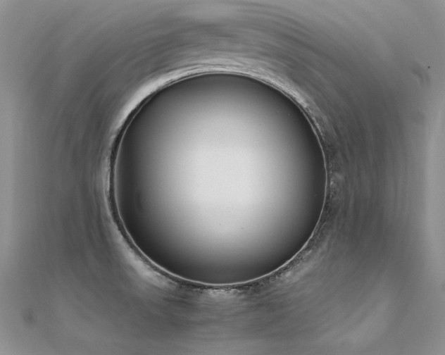 X0000112411523200908141350
