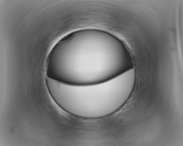 X0000112411524200908141350