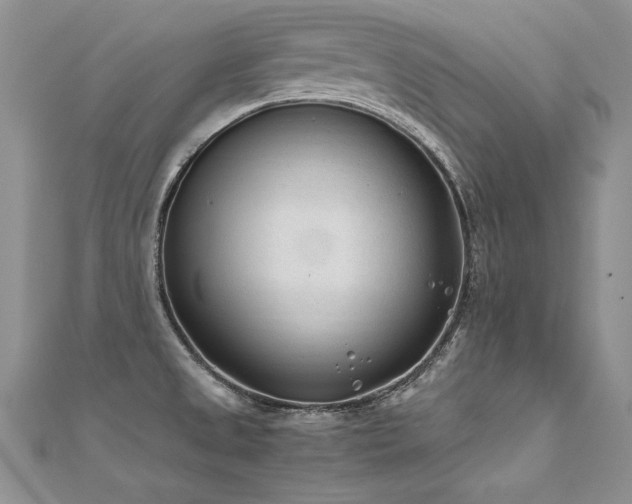 X0000112411525200908141350
