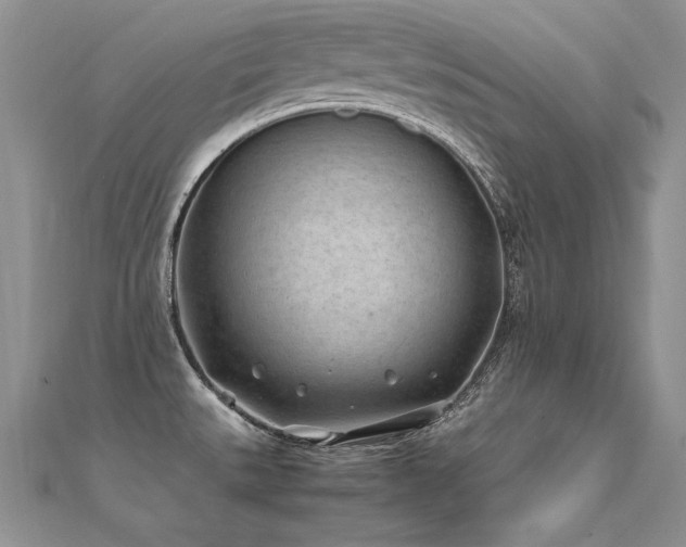 X0000112411527200908141350