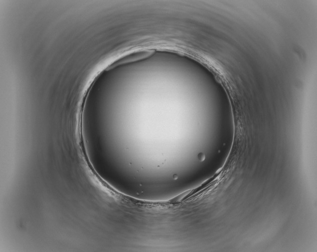 X0000112411528200908141350