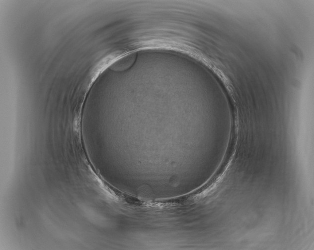 X0000112411529200908141350