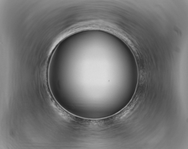 X0000112411530200908141350