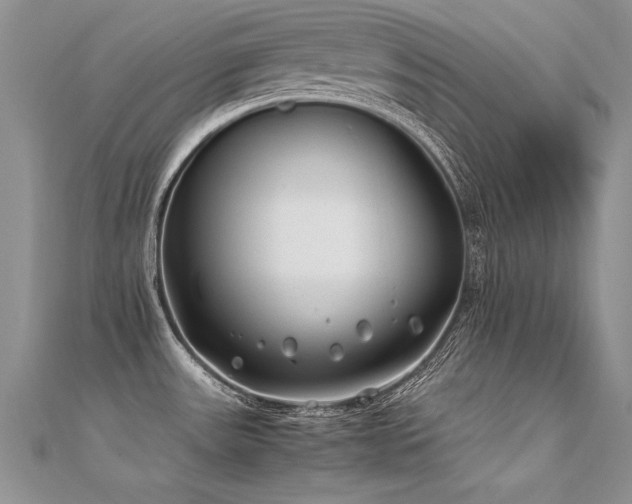 X0000112411531200908141350