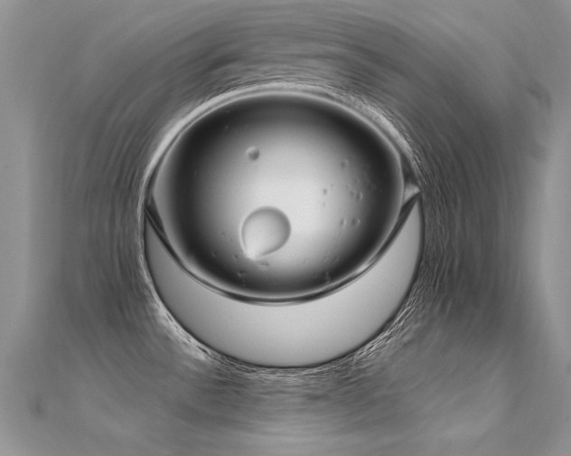 X0000112411532200908141350