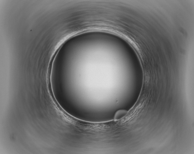 X0000112411533200908141350