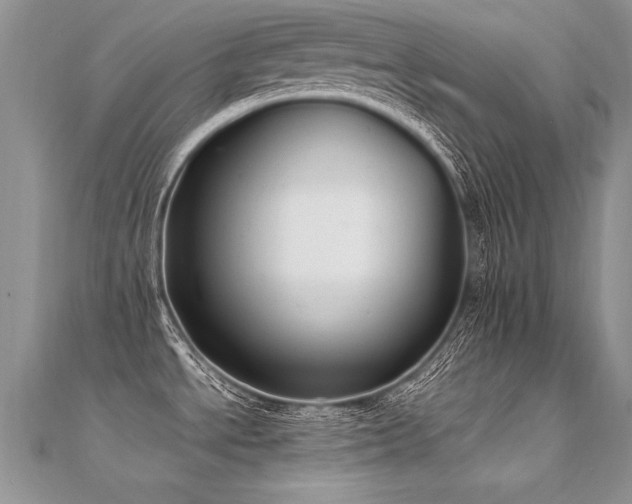 X0000112411534200908141350