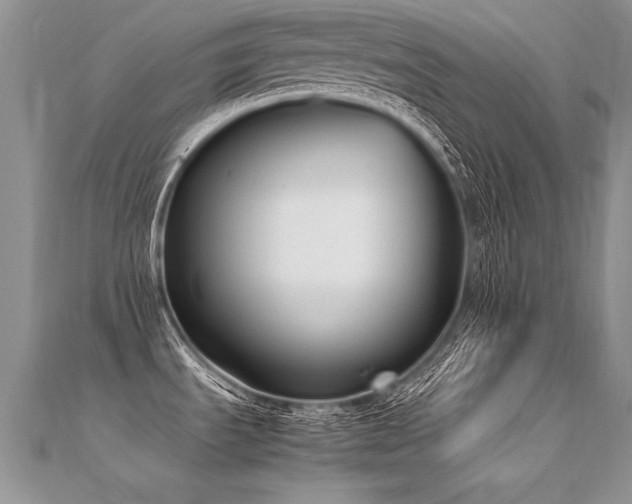 X0000112411535200908141350