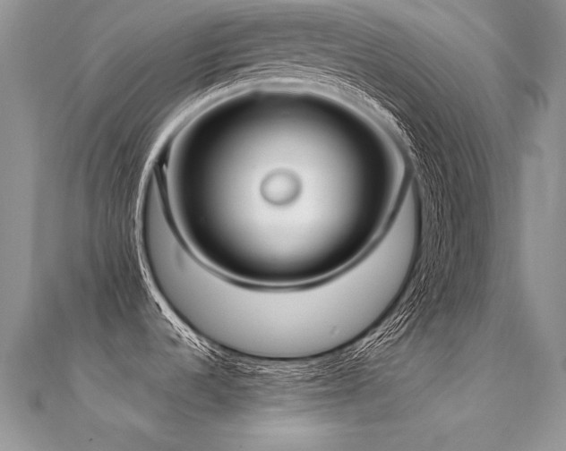 X0000112411536200908141350