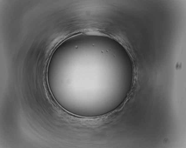 X0000112410001200908211133