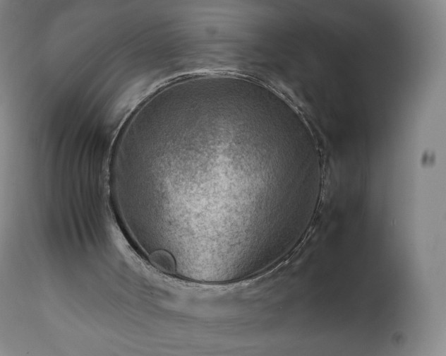 X0000112410002200908211133