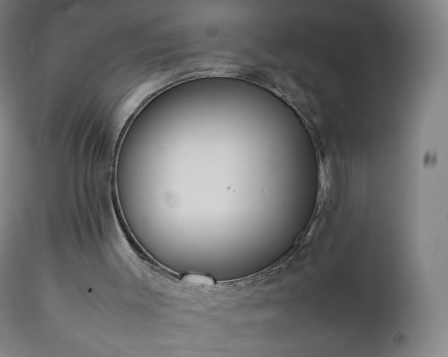 X0000112410003200908211133