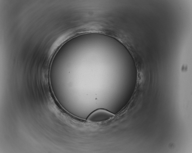 X0000112410004200908211133