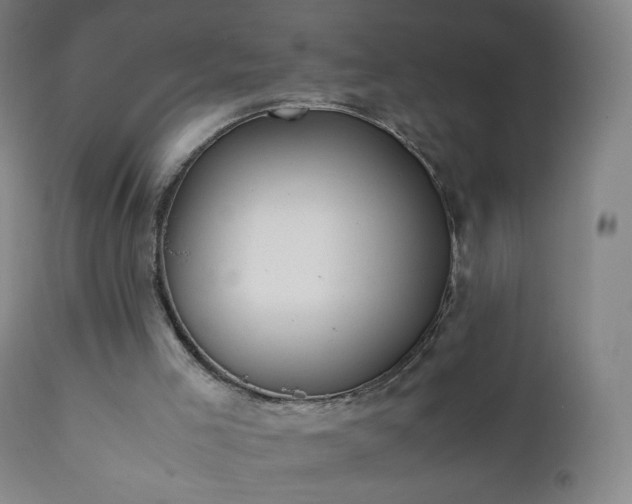 X0000112410005200908211133