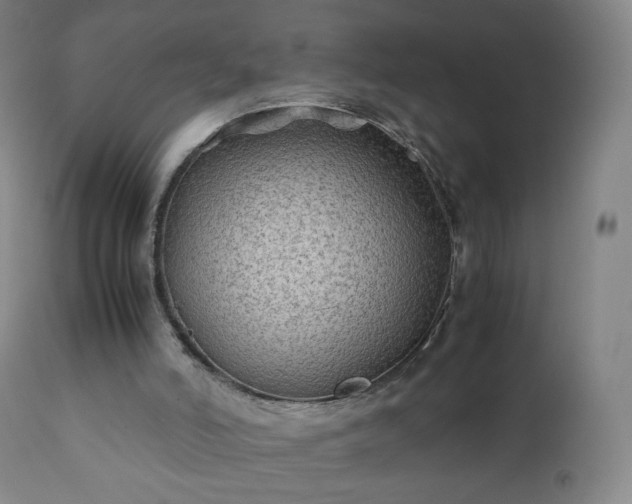 X0000112410006200908211133