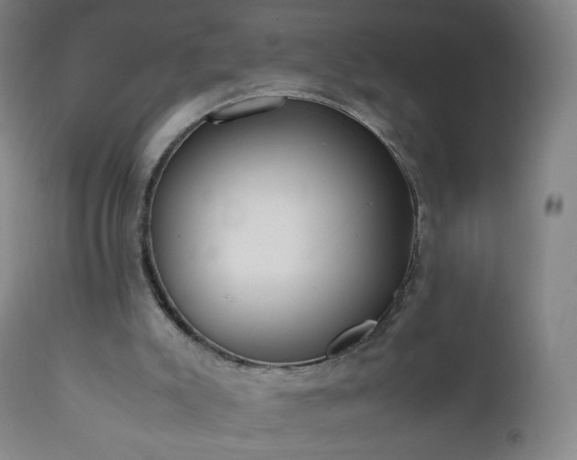 X0000112410007200908211133