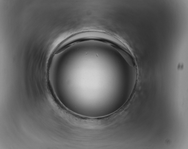 X0000112410008200908211133