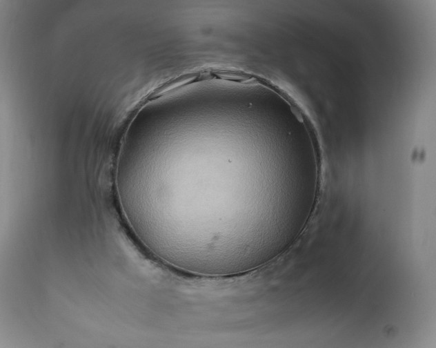 X0000112410009200908211133