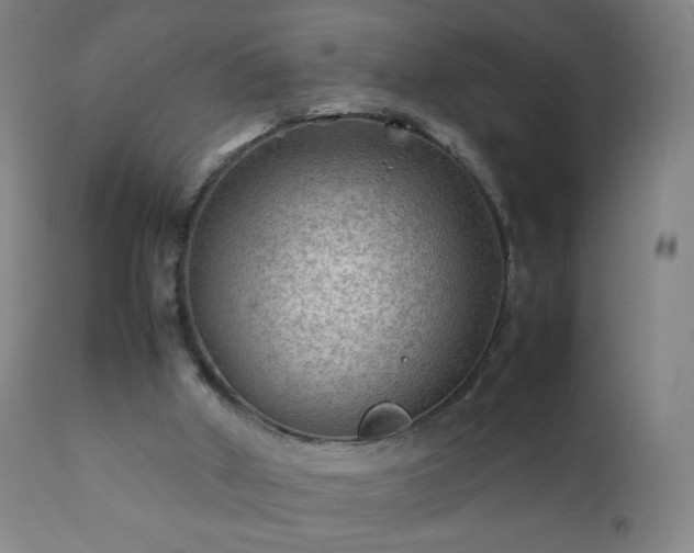 X0000112410010200908211133