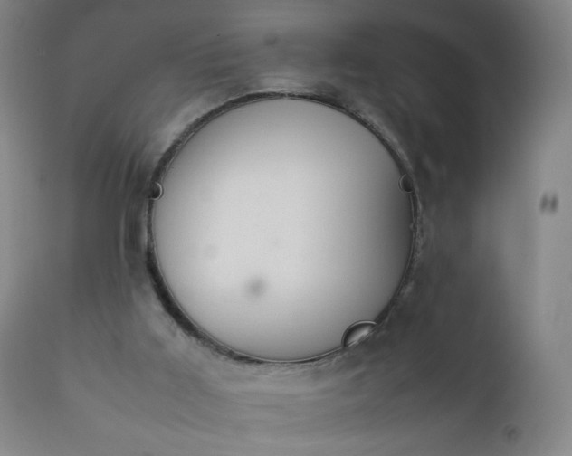 X0000112410011200908211133