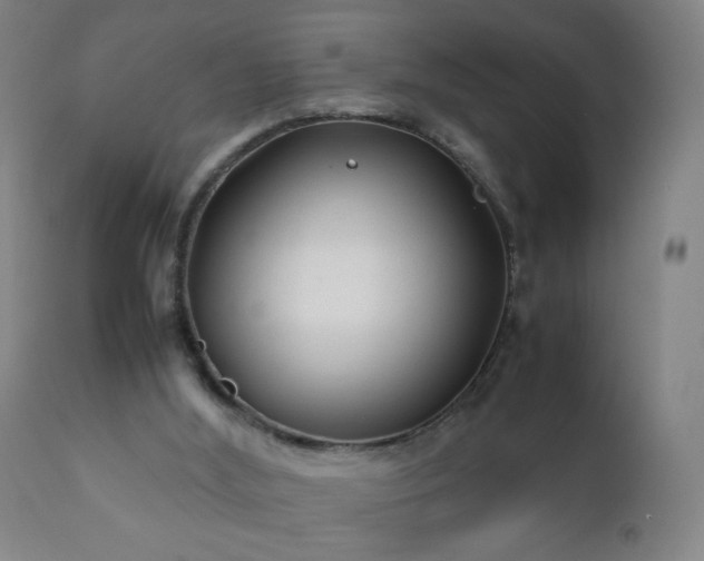 X0000112410012200908211133