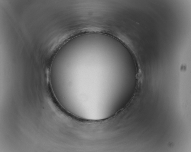 X0000112410013200908211133
