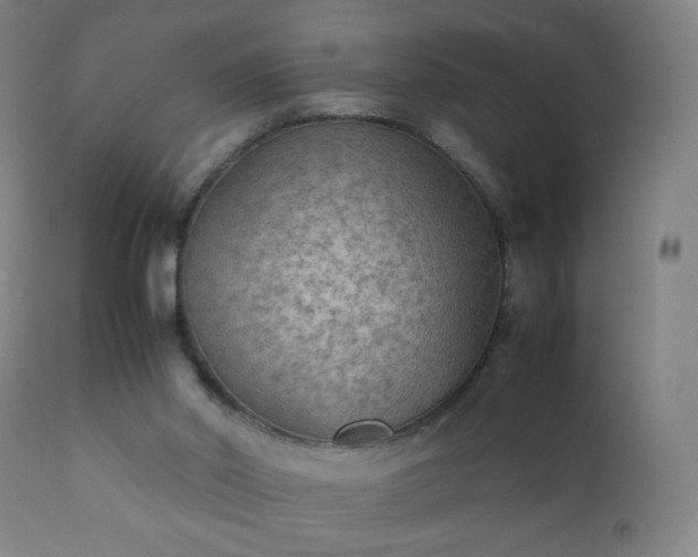X0000112410014200908211133
