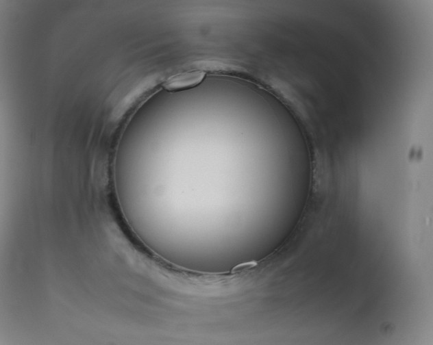 X0000112410015200908211133