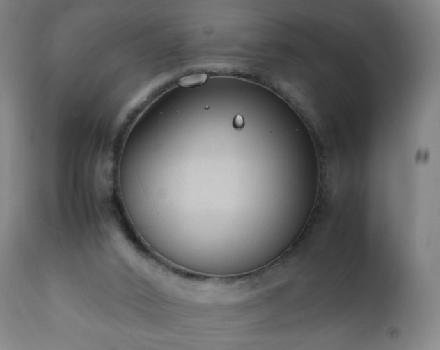 X0000112410016200908211133
