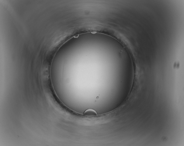 X0000112410017200908211133