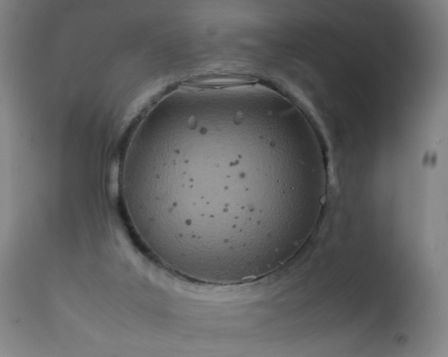 X0000112410019200908211133