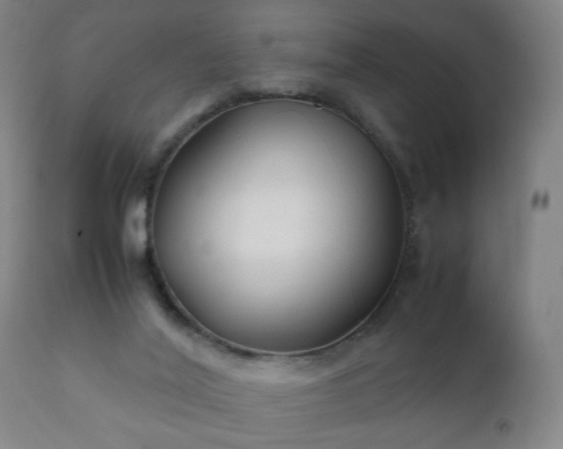 X0000112410020200908211133