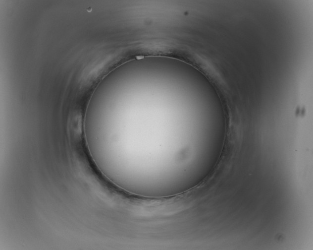 X0000112410021200908211133