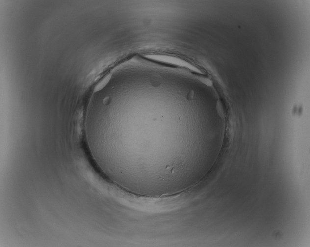 X0000112410023200908211133