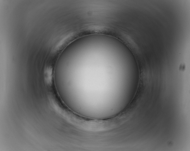 X0000112410024200908211133