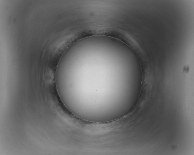 X0000112410025200908211133