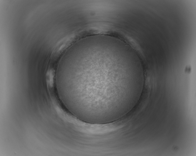 X0000112410026200908211133