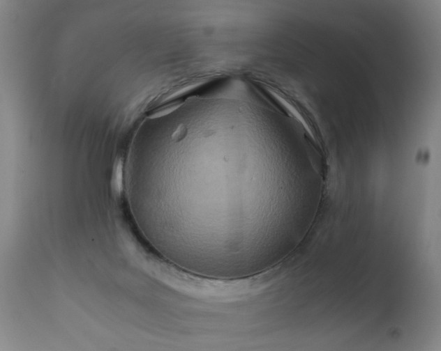 X0000112410027200908211133