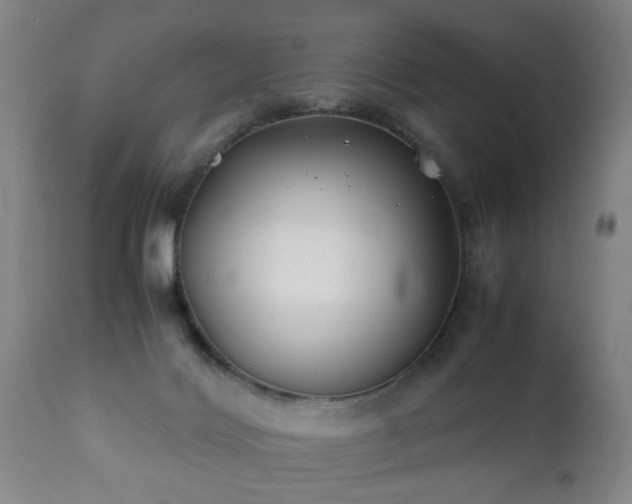 X0000112410028200908211133