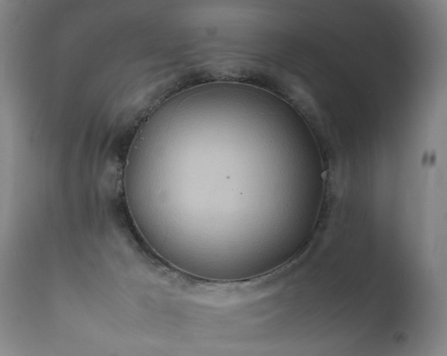 X0000112410029200908211133