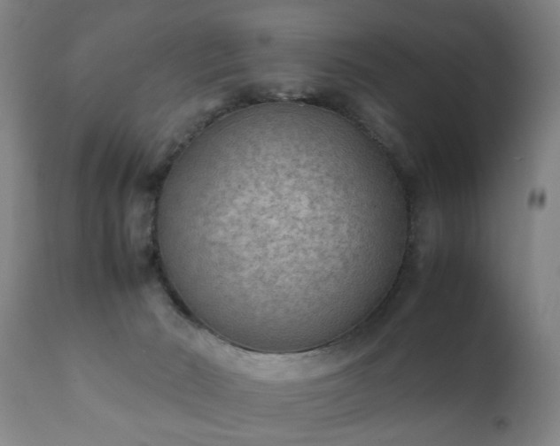 X0000112410030200908211133