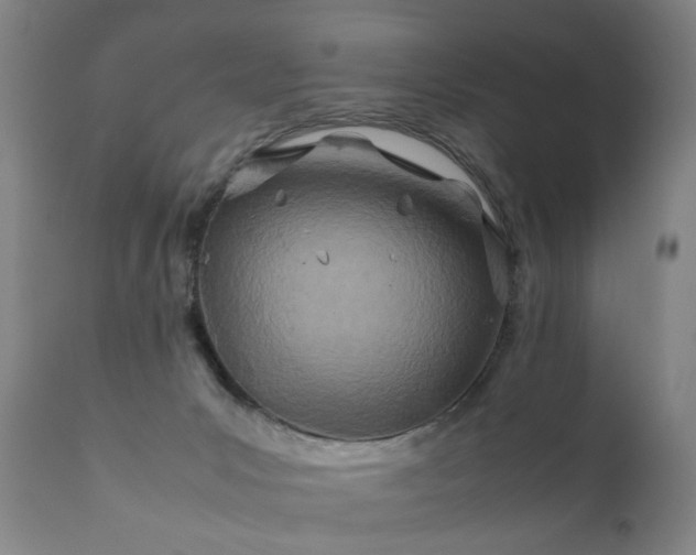 X0000112410031200908211133