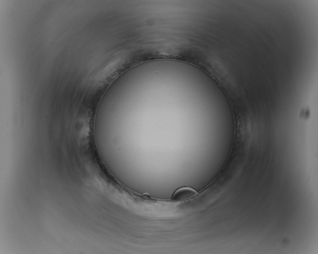 X0000112410032200908211133