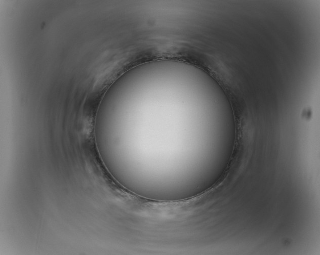 X0000112410033200908211133